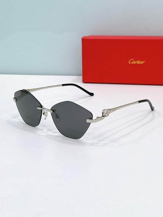Picture of Cartier Sunglasses _SKUfw79568554fw
